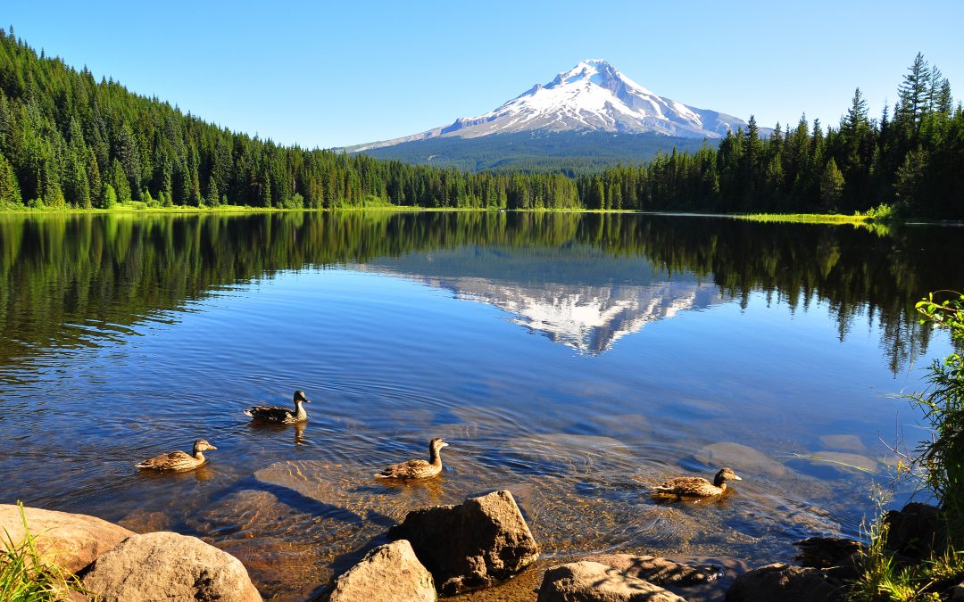 A Complete Tour of Oregon from sea to mountains